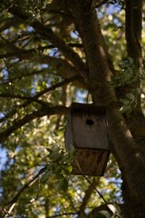 Vertical closeup shot of an old wooden birdhouse on a tree in the park on a sunny day