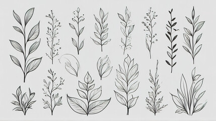Set of hand drawn branches and leaves. Vector illustration. Elements for design.