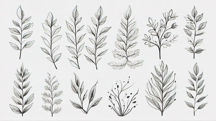 Hand drawn set of leaves and branches. Vector botanical illustration.