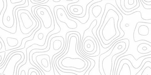 Fotobehang Modern Abstract Topographic map background with wave lines. Topographic map in contour black line on isolated white background. Vector illustration. paper texture Imitation of a geographical map shade © Chip Kidd