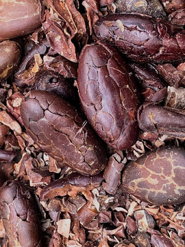 Chocolate Natural, Cacao Colombiano, Cacao de Colombia
