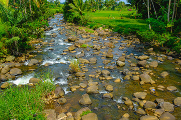 Obraz na płótnie Canvas shallow river water with medium-sized rocks in the morning 