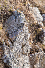 Part of a rocky outcrop stone with dried grass