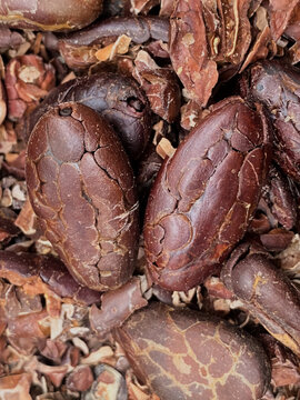 Chocolate Natural, Cacao Colombiano, Cacao de Colombia