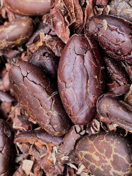 Chocolate Natural, Cacao Colombiano, Cacao de Colombia
