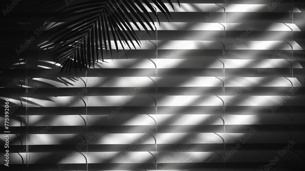 Poster shade on transparent background. reflective shadow blinds. light from window on wall office. realist