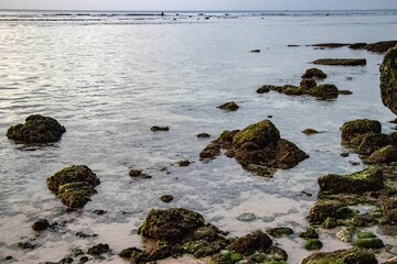 Beautiful view of rocks on the seashore