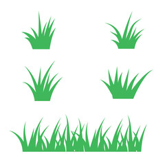 set of green grass