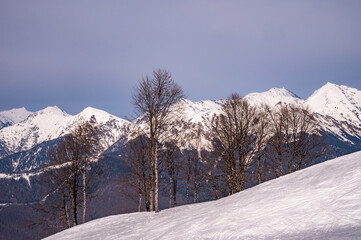 peaks of snow-capped mountains in winter