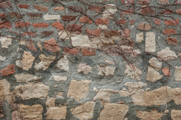 Ancient wall texture background with old bricks with dry plant branches