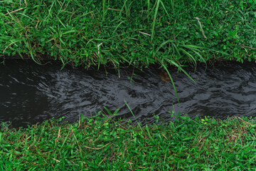 a View of Traditional Irrigation Canal in Bali with Surrounding of Green Grass