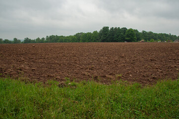 A tilled and planted farm field beside a forest during the summer