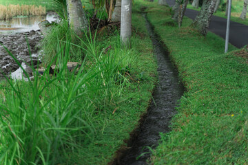 a View of Traditional Irrigation Canal in Bali with Surrounding of Green Grass