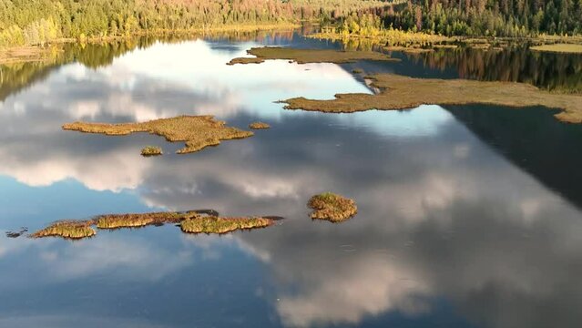 Beautiful view of a lake surrounded by wild landscape in Alaska