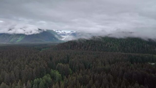 Drone view over forested landscapes under a cloudy sky