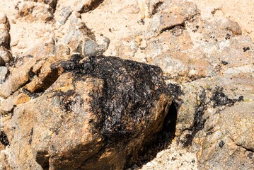 Pedra do Sal Beach polluted with oil in Salvador, Brazil