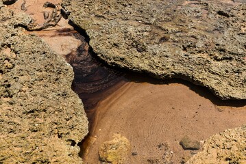Pedra do Sal Beach polluted with oil in Salvador, Brazil