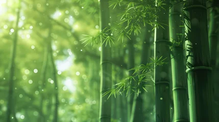  Abstract background with green bamboo forest or parks. Generative AI © masharinkaphotos