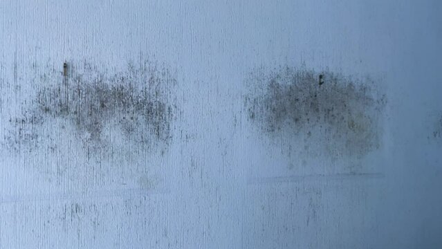 Condensation, damp and mould on interior wall in a house in England