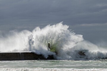 Big wave near the beach at daytime
