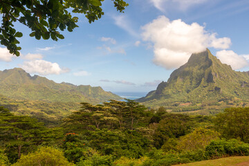 Part of the lush South Pacific island of Mo'orea, French Polynesia