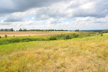 Obraz premium a field with the horizon and heavy clouds copy space