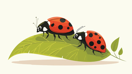 Two ladybugs on green leaf on white background illu