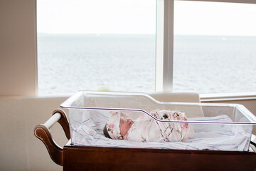Newborn baby sleeping in a hospital bassinet. Just born baby 