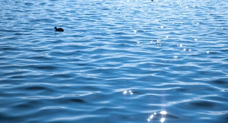 The shimmering water surface