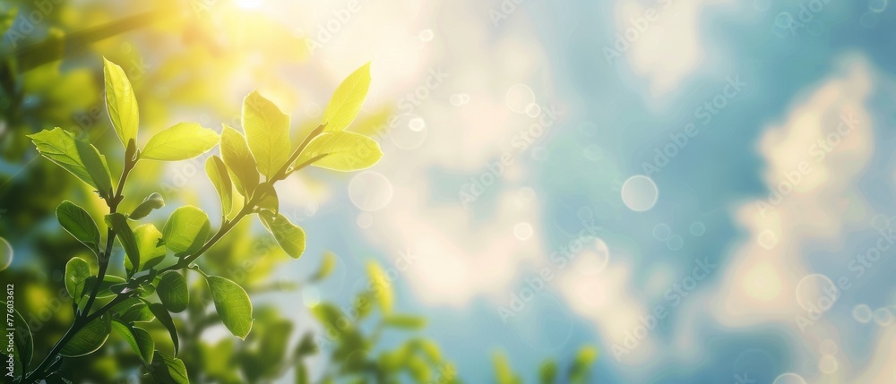 Poster the concept for world environment day is a gorgeous blurred image of green nature with a blue sky an