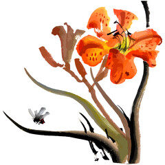 Vector watercolor illustration of  tiger lily flower. Gohua, traditional chinese ink and wash painting