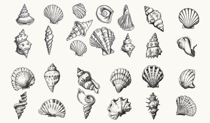 Vintage Seashell Engraving Vector Set: Retro Halftone Sketches for Posters, Banners & Cards - Classic Marine Art, Dotted Ink Illustrations