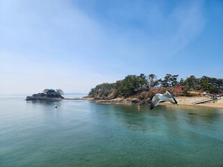 푸른 서해바다 풍경