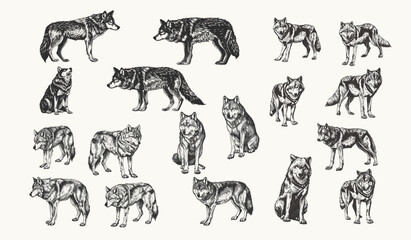 Vintage Wolf Engraving Vector Set: Retro Halftone Sketches for Posters, Banners & Cards - Classic Wildlife Art, Dotted Ink Illustrations