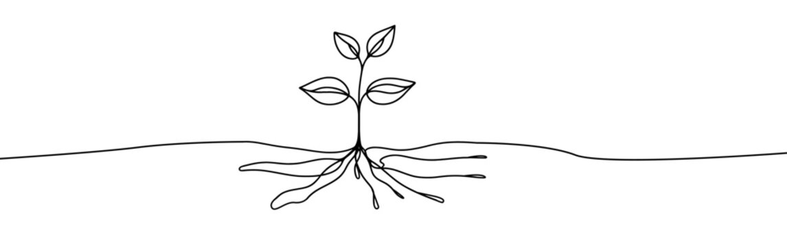 recommend clip art: Growing sprout one line art .Vector silhouette of growing plant. Hand drawn leaf. Growing sprout plant continuous line .Plant with roots single line.