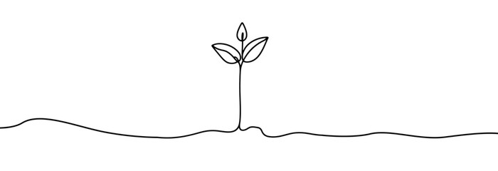 Growing sprout one line art .Vector silhouette of growing plant. Hand drawn leaf. Growing sprout plant continuous line .Plant with roots single line. - obrazy, fototapety, plakaty