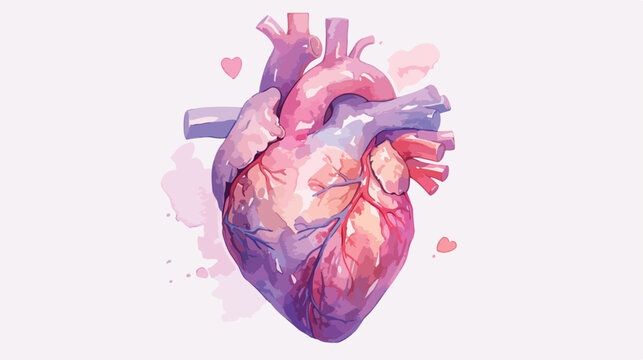 Watercolor realistic heart on the white background