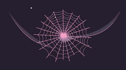 Web icon. Vector illustration of a spider web. Net