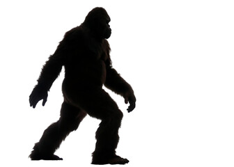 Fototapeta premium flat bigfoot silhouettes