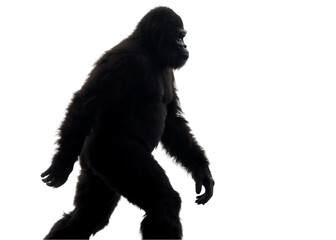 flat bigfoot silhouettes
