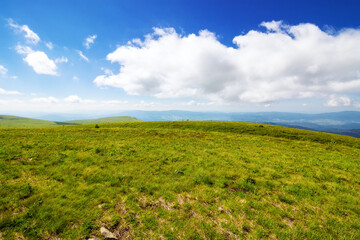 Fototapeta na wymiar alpine grassy meadow. carpathian landscape of ukraine on a sunny summer day. mountainous scenery beneath a blue sky with fluffy clouds