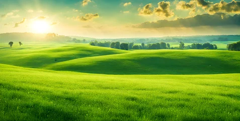 Gardinen Minimalist photography capturing a sunny summer landscape with lush green vegetation © karandaev