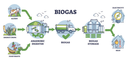 Biogas production stages with bio gas generation explanation outline diagram, transparent background. Labeled educational scheme with process from slurry and crops to storage and heating. - obrazy, fototapety, plakaty