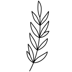 Wildflower Line Art Vector Illustration