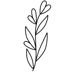 Wildflower Line Art Vector Illustration