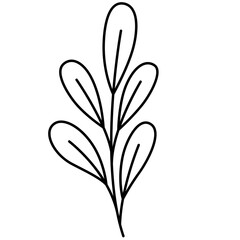 Wildflower Line Art Vector Illustration