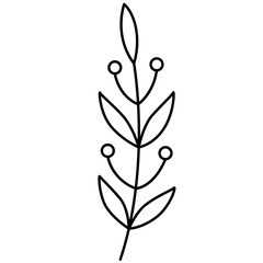 Wildflower Line Art Vector Illustration