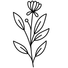 Wildflower Line Art Vector Illustration
