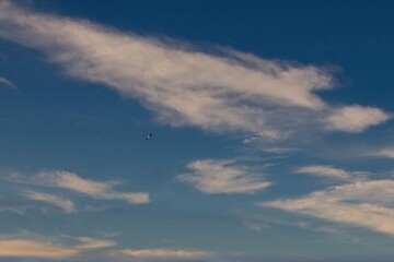 Stork  on beak above the sky azUl