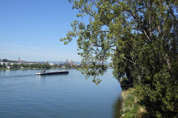 Lastkahn auf dem Rhein bei Mainz
